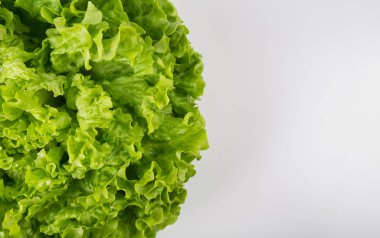 Bir demet taze, yeşil batavya salatasını kopyasıyla kapatın.