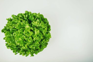 Bunch of fresh, green batavia lettuce salad head top view isolat clipart