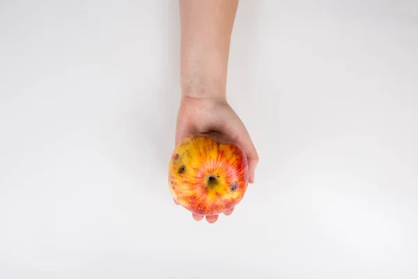 Крупным планом человеческой руки, держащей слегка деградировавшее яблоко изола — стоковое фото
