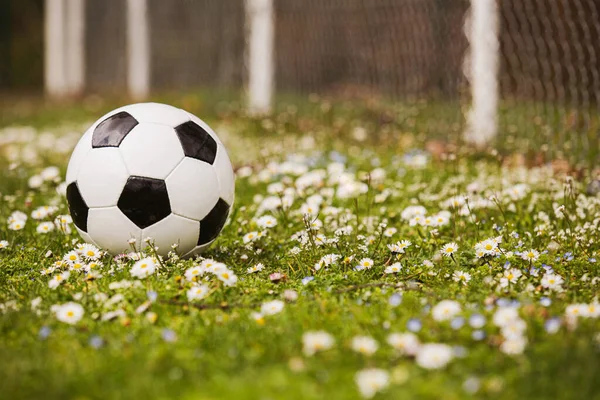 Soccer Ball Green Grass Lawn Flowers Green Grass Classic Soccer — Stock Photo, Image