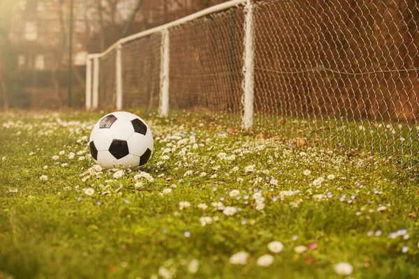 緑の芝生の中で花と緑の芝生の上でサッカーボール 公園の古典的なサッカーボール 典型的な黒と白のパターン — ストック写真