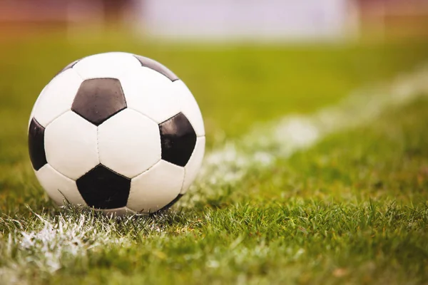 Fußball Auf Dem Grünen Rasen Mit Kopierplatz — Stockfoto