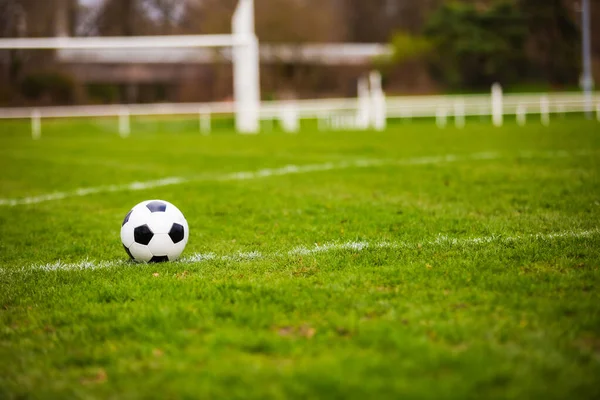 スタジアムの芝生の上に置かれた古典的なサッカーボール 典型的な黒と白のパターン 緑の芝生の芝生の上の伝統的なサッカーボールコピースペース — ストック写真