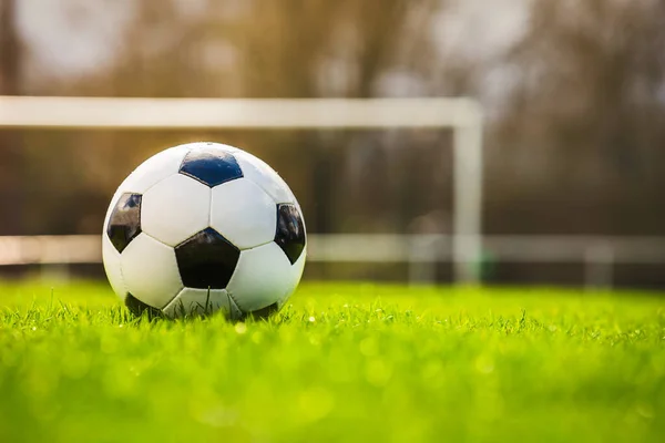 典型的な黒と白のパターンで日没の古典的なサッカーボールは スタジアムの芝生の上に配置されます 緑の芝生の芝生の上の伝統的なサッカーボールコピースペース — ストック写真