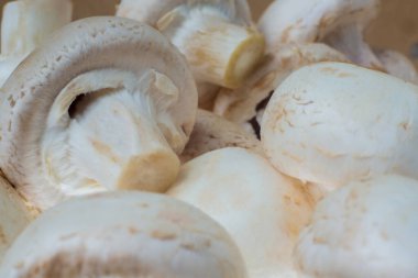 Taze toplanmış mantarları hazır et. Sağlıklı beslenme, biyoorganik yetiştirme, çiğ yemek..