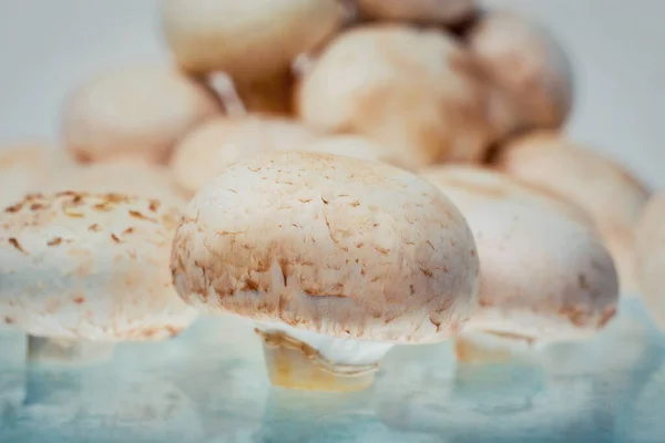 Ein Bündel Roher Pilze Auf Den Tisch Legen Frisch Gepflückte — Stockfoto