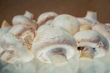 Taze toplanmış mantarları hazır et. Sağlıklı beslenme, biyoorganik büyüme, çiğ yemek mantarı geçmişi.