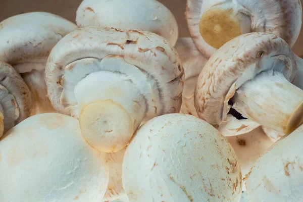 Haufen Frisch Gepflückter Pilze Für Die Zubereitung Von Speisen Aus — Stockfoto