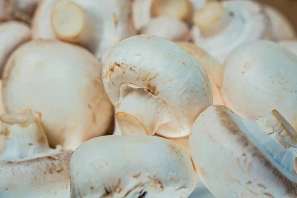 Haufen Frisch Gepflückter Pilze Für Die Zubereitung Von Speisen Aus — Stockfoto