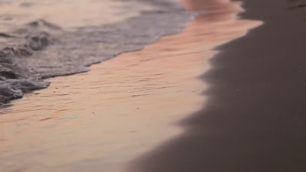 Vagues de plage au coucher du soleil — Video