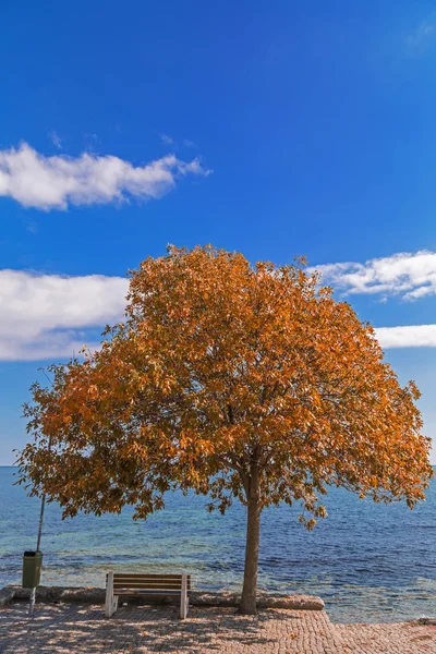 Herfst door de sea side — Stockfoto