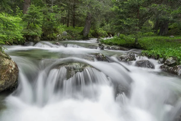 Flod i berget under våren — Stockfoto