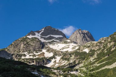 Dağ tepe bahar