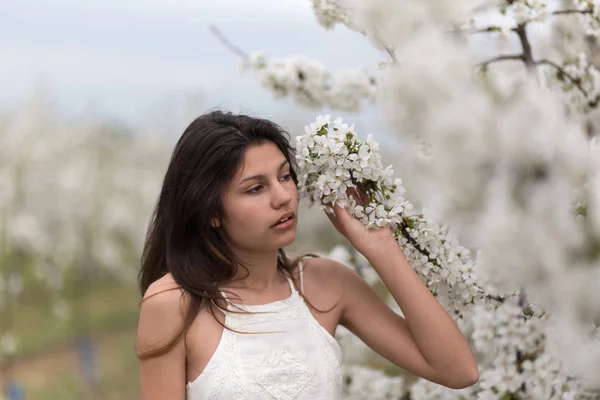 Giovane ragazza e un albero di ciliegio fiorito — Foto Stock