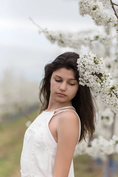 Albero di ciliegio fiorito e bella ragazza — Foto Stock