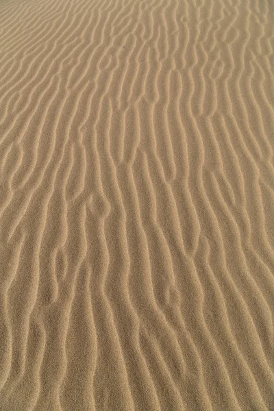 Duna de arena, fondo —  Fotos de Stock