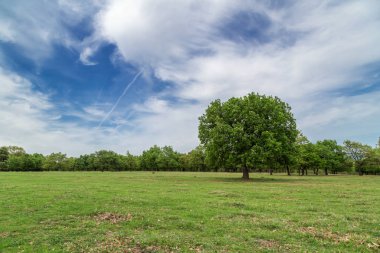 Bahar manzara Bulgar kırsal kesimde