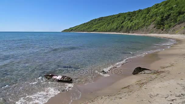 Пляж и лес на Черноморском побережье Болгарии — стоковое видео