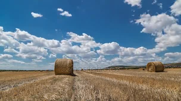 Fältet med balar av hö och vacker himmel tidsfördröjning — Stockvideo
