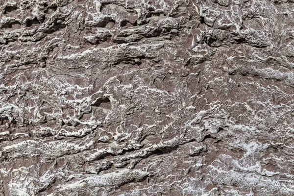 Texture of grey cliff — Stock Photo, Image