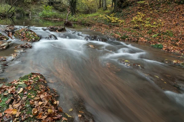 Flod i höst i skogen — Stockfoto