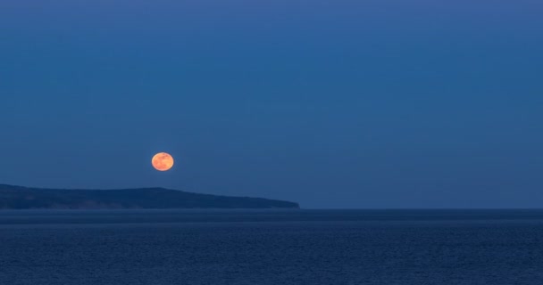 Deniz Kıyısı Boyunca Yükselen Moon — Stok video