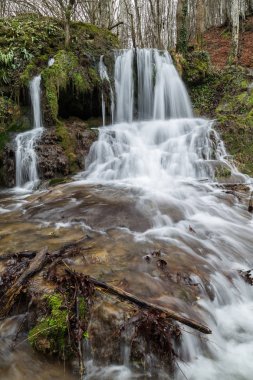 Bahar, ormandaki şelale