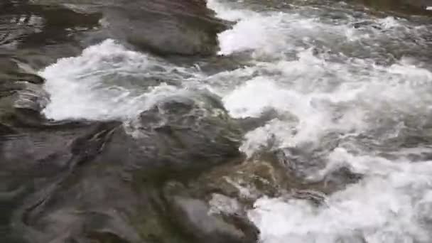 Sauberer Fluss Frühling Zeitlupe — Stockvideo