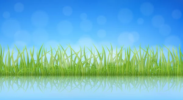 Vector hierba verde — Vector de stock