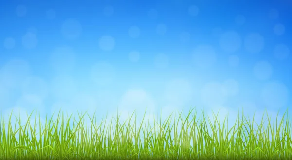 Вектор зелена трава — стоковий вектор