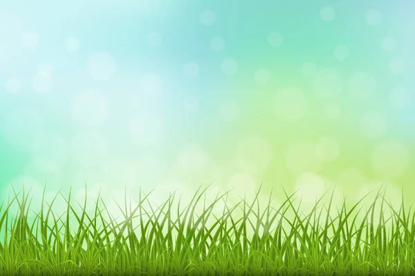 Vector groen gras — Stockvector