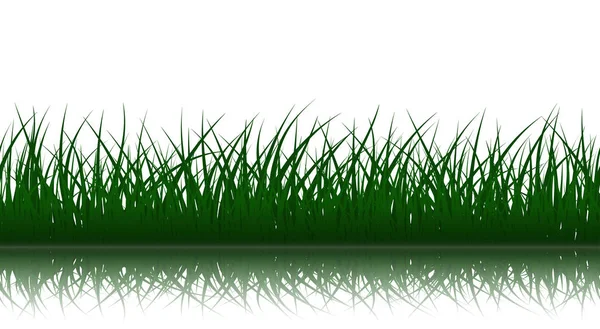 Vector green grass — Stock Vector