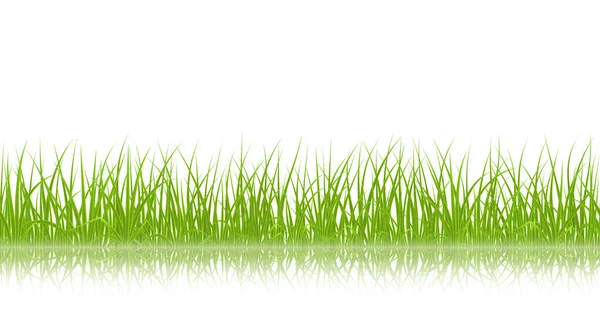 Vector green grass — Stock Vector