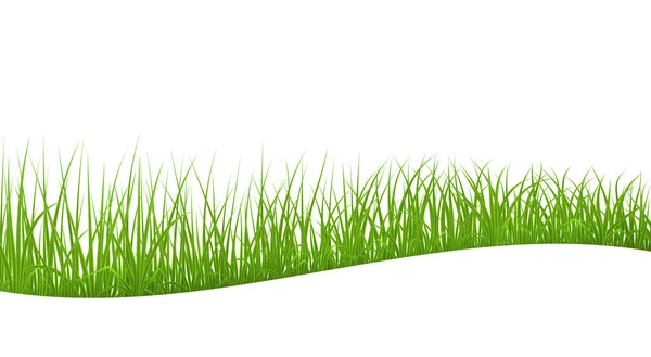 抽象的な緑の芝生 — ストックベクタ