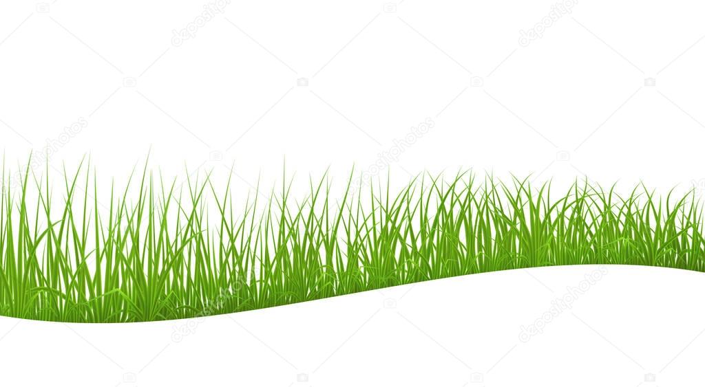 Abstract green grass