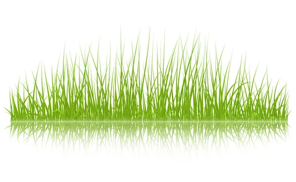 Vector πράσινο γρασίδι — Διανυσματικό Αρχείο