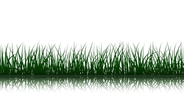 Vector green grass — Stock Vector