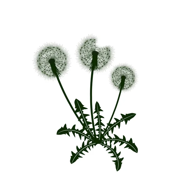 タンポポの花のアイコン — ストックベクタ