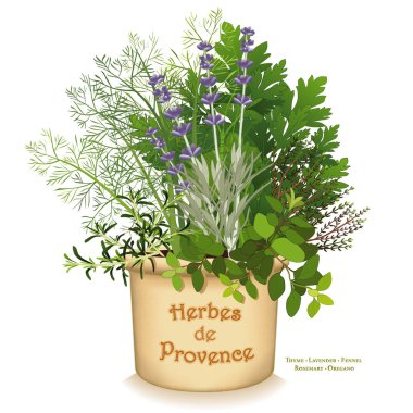 Bitki de Provence Bahçe ekici, biberiye, rezene, maydanoz, kekik, kekik, lavanta.  