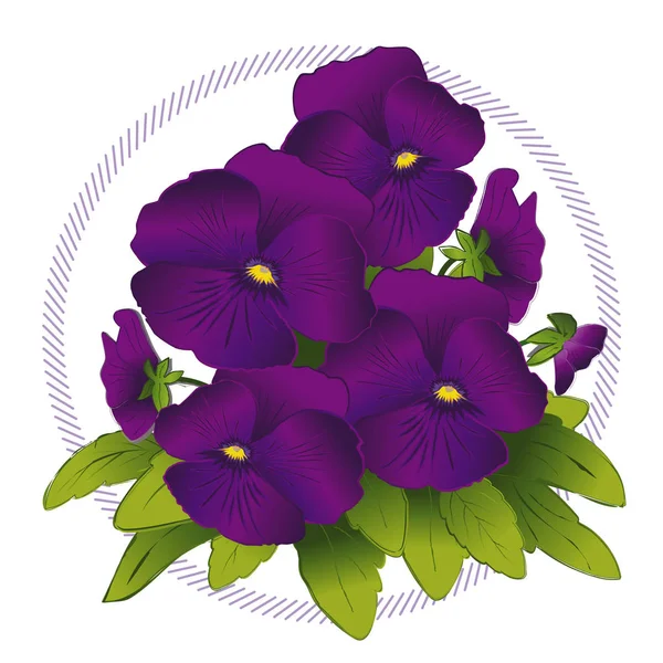Ramillete de Flores de Pansy, Morado Profundo — Vector de stock
