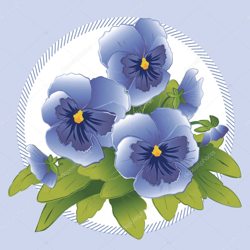 Pansy Flowers Bouquet, Sky Blue Pastel