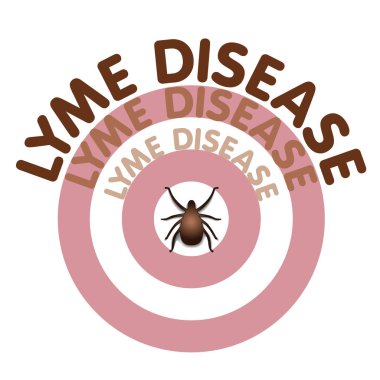 Kene böcek, Lyme hastalığı boğa göz döküntü
