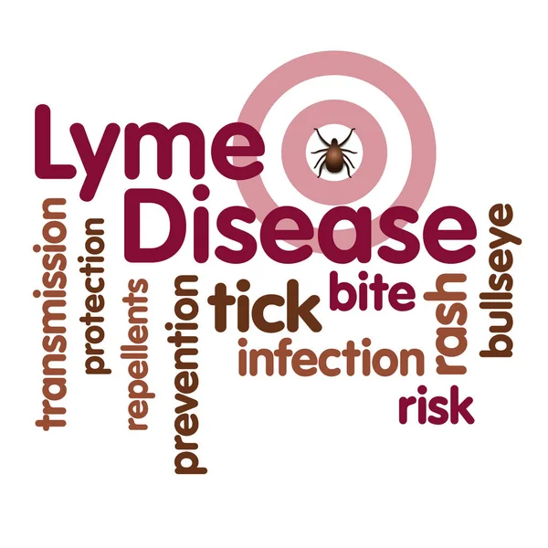 Lyme Disease, Tick Insect, Bulls eye Rash, Public Health Word Cloud — Stock Vector