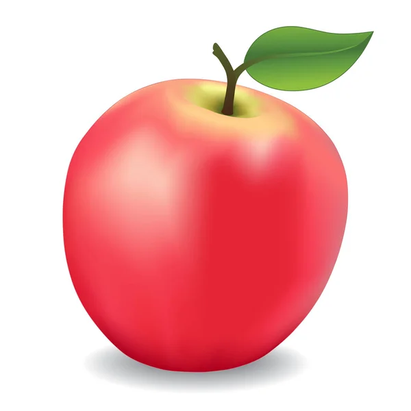 Manzana, rosa, fruta fresca dulce del huerto — Archivo Imágenes Vectoriales