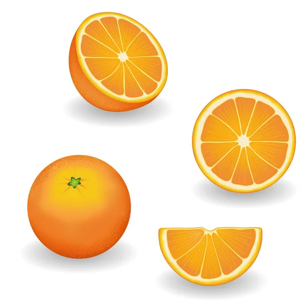 Orangen, ganze, halbe, in Scheiben geschnittene, viertel Früchte — Stockvektor