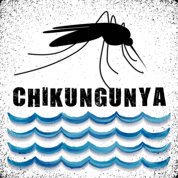 Chikungunya, Mücke, stehendes Wasser — Stockvektor