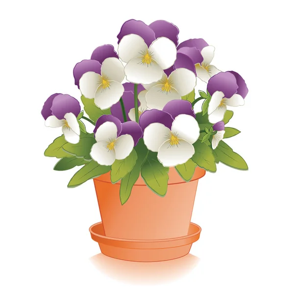 Johnny Jump Ups (Fleurs de Pansy) en pot de fleurs d'argile — Image vectorielle
