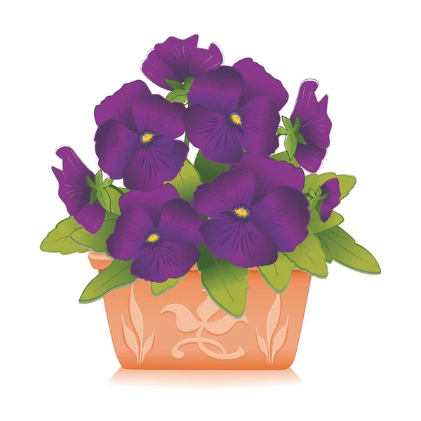 Flores de Pansy, Lavanda, en maceta de arcilla en relieve (Viola tricolor ) — Archivo Imágenes Vectoriales