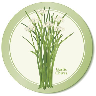 Sarımsak Chives taze ot simgesi