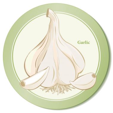 Sarımsak Herb simgesi